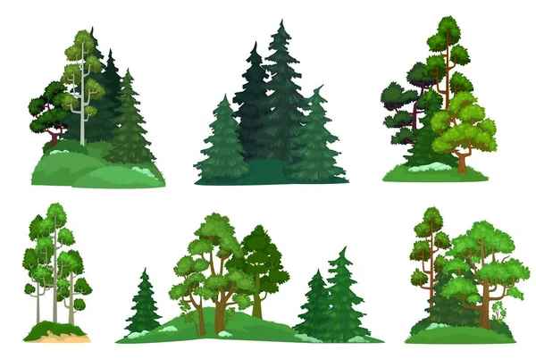 Erdőfák. Zöld fenyő, erdők fenyő összetétele és elszigetelt fák rajzfilm vektor illusztráció készlet — Stock Vector