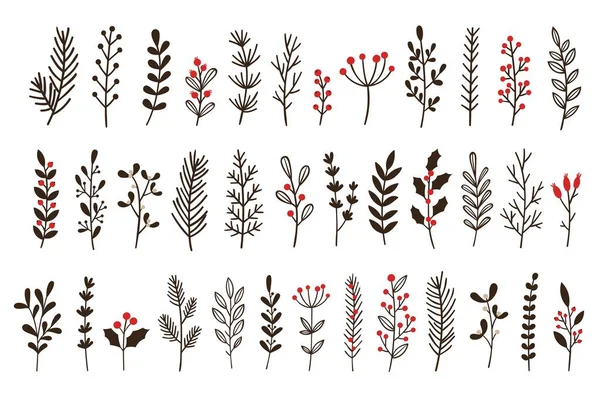 Foglie invernali disegnate a mano e rami. Ramoscello floreale, ramo botanico con bacca e foglia doodle vector set — Vettoriale Stock