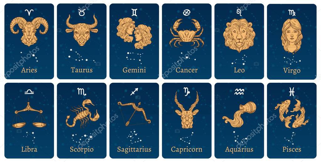 Zodiac constellations and signs. Horoscope cards with constellation stars, decorative zodiac sketch symbols vector illustration set