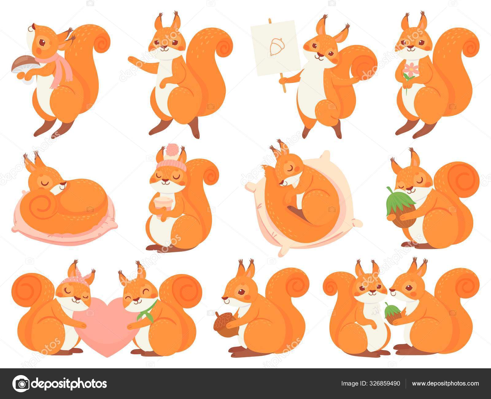 Squirrel cartoon Vector Art Stock Images | Depositphotos