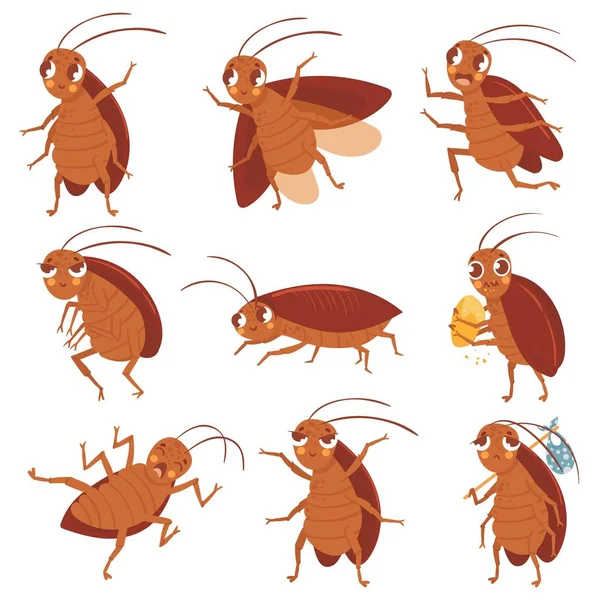 Mascotte scarafaggio cartone animato. Scarafaggi arrabbiati, insetti parassiti e bug controllano i personaggi set di illustrazioni vettoriali. Divertente collezione di scarabei marroni. Diversi parassiti carini, confezione adesivi fauna selvatica — Vettoriale Stock