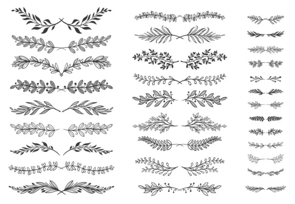 Divisores de adornos florales. Decoración de desplazamiento de hojas ornamentales, rama decorativa y conjunto de vector divisor dibujado a mano — Archivo Imágenes Vectoriales