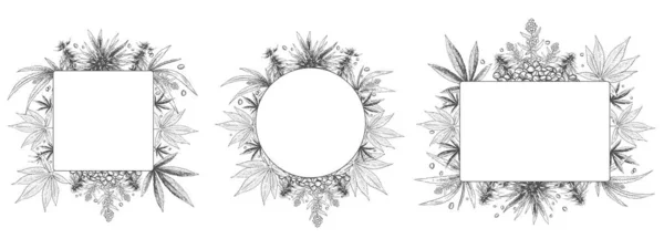 Moldura de cânhamo. Planta de cannabis desenhada à mão, folha de cânhamo esboço e sementes de maconha quadros conjunto vetor — Vetor de Stock