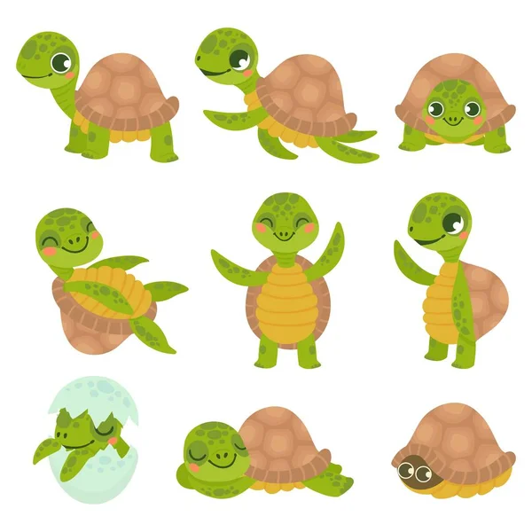 Tortuga sonriente de dibujos animados. Pequeñas tortugas divertidas, caminar y nadar tortuga animales vector conjunto — Vector de stock