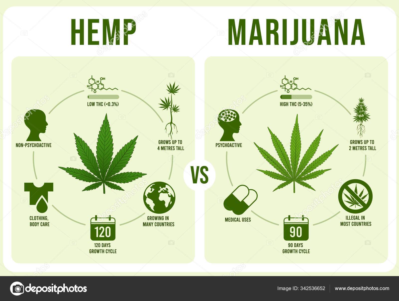 Weed Names Poster weed-names-poster