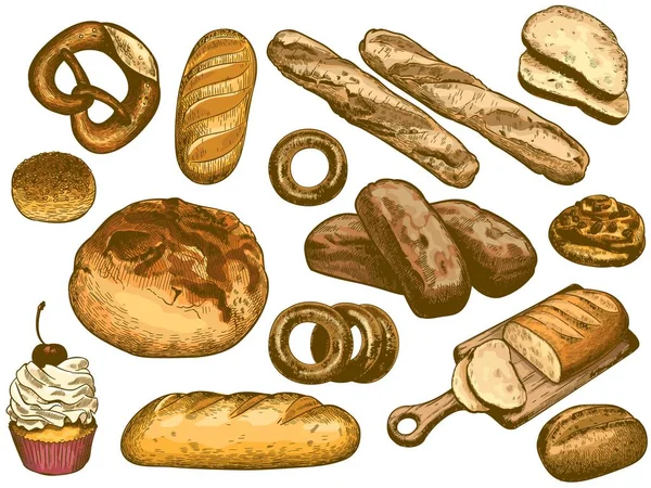 Colore pane disegnato a mano. Pane francese, ciambella fresca da forno, panino al sesamo e set di illustrazioni vettoriali pretzel — Vettoriale Stock