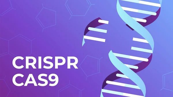 CRISPR CAS9. Інструмент редагування генів ДНК, біотехнологія генів та інженерія людського генома Векторні ілюстрації — стоковий вектор