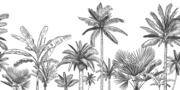 Бесшовный горизонтальный тропический фон. Ручной рисунок пальм, эскиз экзотических тропических листьев джунглей и векторные обои с пальмовыми деревьями — стоковый вектор