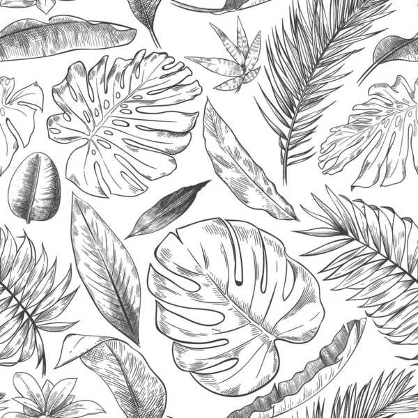 Ručně kreslené tropické listy vzor. Skica kreslení palmové větve, Monstera list a exotické lesní rostliny listy bezešvé vektorové pozadí ilustrace — Stockový vektor