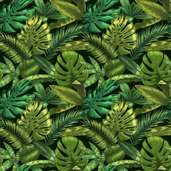 Зеленые тропические листья бесшовные. Цветные монстры и тропические пальмовые листья, векторная иллюстрация ботанического сада — стоковый вектор