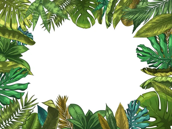 Зеленые тропические листья рамки. Природные листья границы, летние каникулы и джунгли растений. Векторная иллюстрация листьев пальм и экзотических деревьев — стоковый вектор