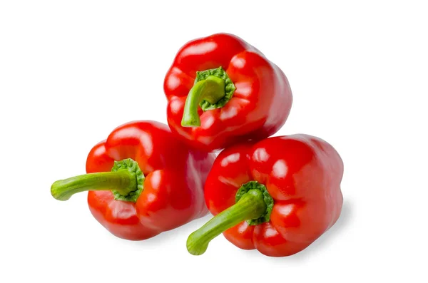 Paprika. Rode paprika. Geïsoleerd op een witte achtergrond. — Stockfoto