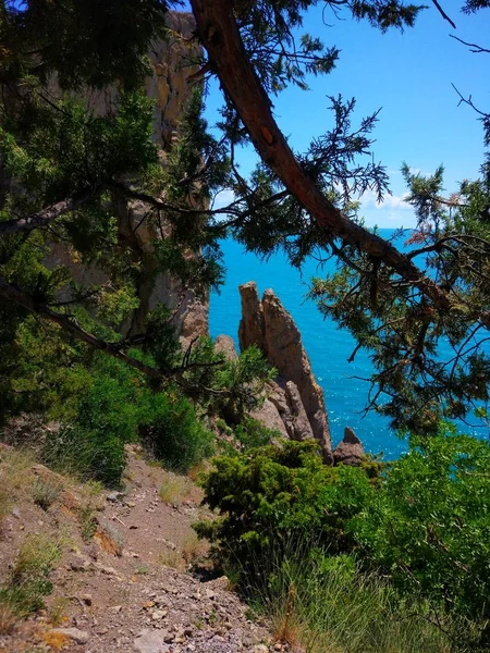 Güzel Bir Karadeniz Manzarası — Stok fotoğraf