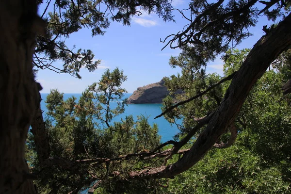 Güzel Bir Karadeniz Manzarası — Stok fotoğraf