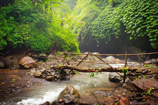 Yaz Bali — Stok fotoğraf