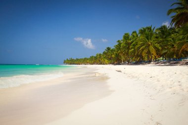 dominicana peyzaj
