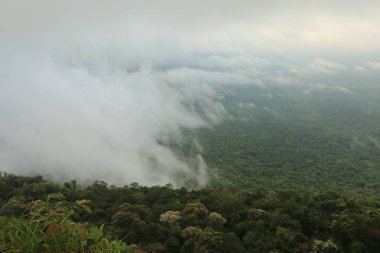 Tayland cliff üzerinde sis