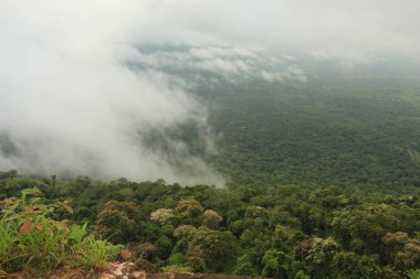 Tayland cliff üzerinde sis