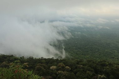 Tayland cliff üzerinde sis