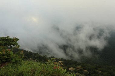 Tayland cliff üzerinde sis