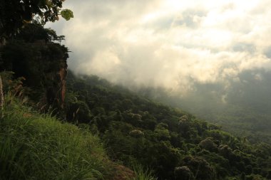 Tayland cliff üzerinde sis