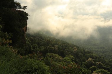 Tayland cliff üzerinde sis