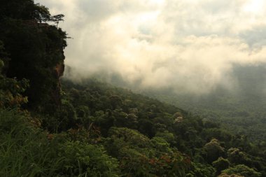 Tayland cliff üzerinde sis