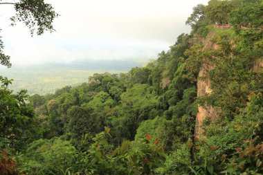 Tayland cliff üzerinde sis