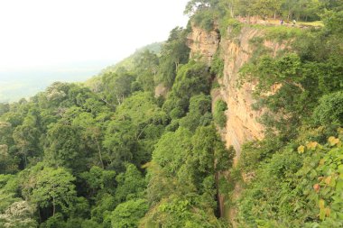 Tayland cliff üzerinde sis