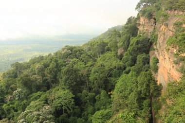 Tayland cliff üzerinde sis