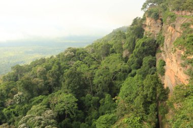 Tayland cliff üzerinde sis