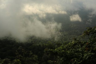 Tayland cliff üzerinde sis