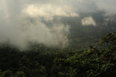 Tayland cliff üzerinde sis