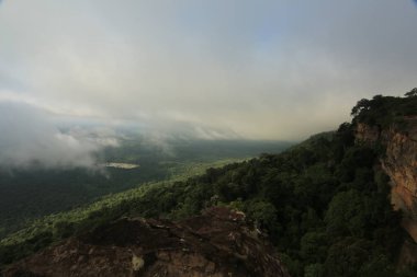Tayland cliff üzerinde sis