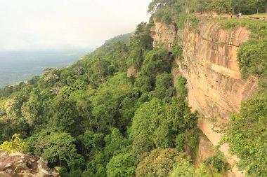 Tayland cliff üzerinde sis