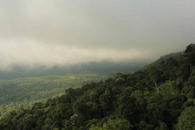 Tayland cliff üzerinde sis