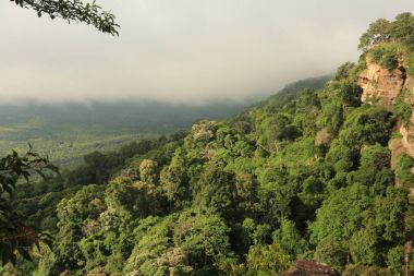 Tayland cliff üzerinde sis