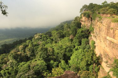 Tayland cliff üzerinde sis