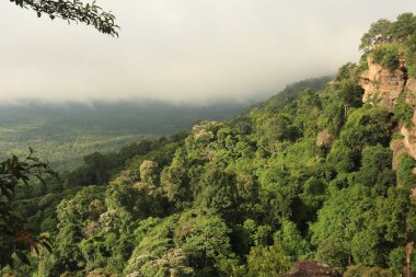 Tayland cliff üzerinde sis