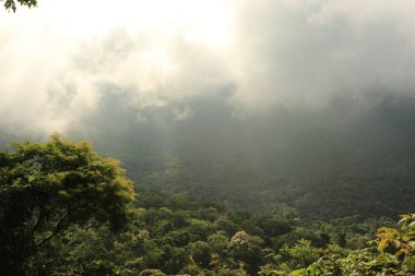 Tayland cliff üzerinde sis