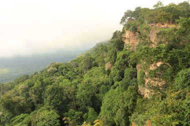 Tayland cliff üzerinde sis