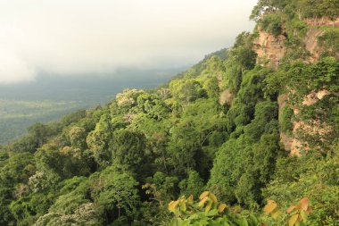 Tayland cliff üzerinde sis