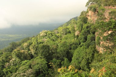 Tayland cliff üzerinde sis