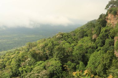 Tayland cliff üzerinde sis
