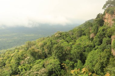 Tayland cliff üzerinde sis