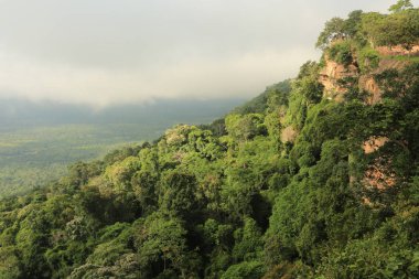 Tayland cliff üzerinde sis