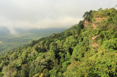 Tayland cliff üzerinde sis