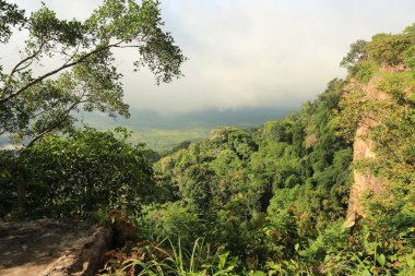 Tayland cliff üzerinde sis