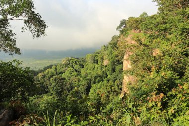Tayland cliff üzerinde sis