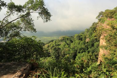 Tayland cliff üzerinde sis